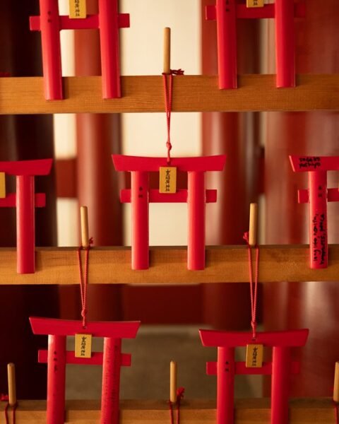 mini torii gates at Hie Shrine, Tokyo, Japan
