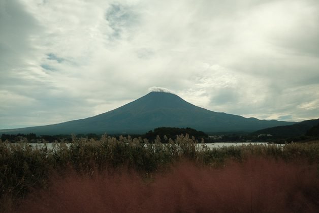 view of Mt. Fuji at Oishi Park, Lake Kawaguchiko, Japan