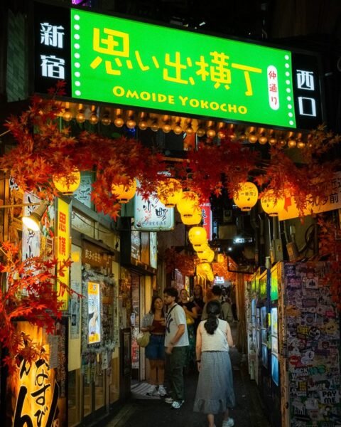 Omoide Yokocho at night, Tokyo, Japan