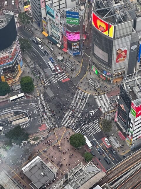 people crossing at Shibuya Scramble Crossing, Tokyo, Japan