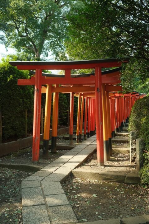 torii gates at Nezu Shrine, Tokyo, Japan