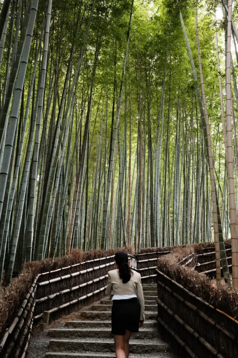 bamboo forest at Adashino Nenbutsu-ji, Kyoto, Japan