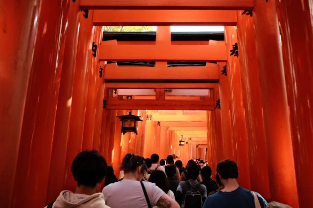 torii gates at Fushimi Inari, Kyoto, Japan