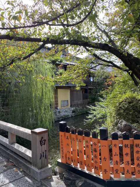 Shirakawa Canal at Tatsumi Bridge, Kyoto, Japan
