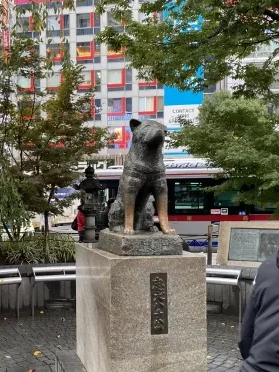 Hachiko statue Hachiko statue, Shibuya, Tokyo, Japan