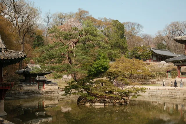 Changdeokgung Secret Garden, Seoul, South Korea