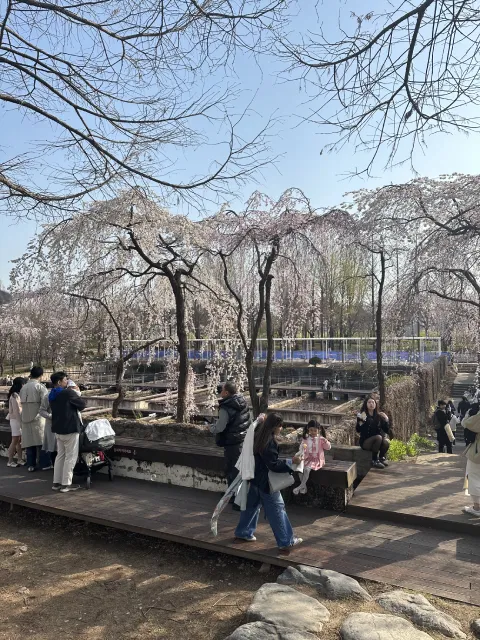 Seonyudo Park, Seoul, South Korea